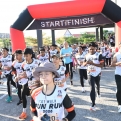 LARIAN 1KM BERSAMA KUCING UNIK DAN LUAR BIASA, 400 PESERTA MERIAHKAN CAT WALK FUN RUN - CATEL 2025